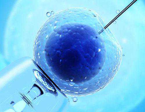 黑龙江180天产假含法定节假日！哈尔滨、鹤岗怎么算有区别