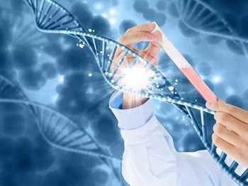 从哈尔滨代怀孕案例到成功怀孕，全记录！