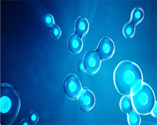 女人脸上突然长黄褐斑