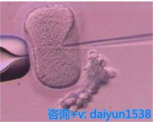 『小儿神经系统的特点』,孩子吐黄水不拉肚子不发热是什么原因