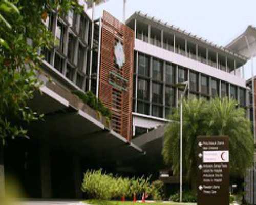 哈尔滨代生花钱多少,为您实现美好人生