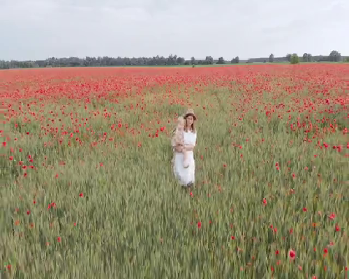 【海珠区·朝晖大厦】57㎡现代简约风二居室，开放式