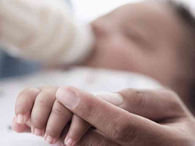 佘山森林公园要门票吗