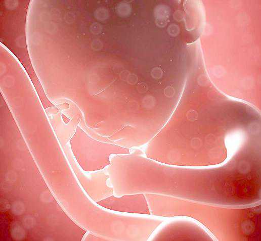 2026哈尔滨供卵试管婴儿公立医院排名一览，哈尔滨最好的供卵机构推荐？